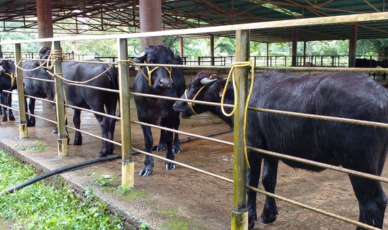 Infraestructura moderna en 2015